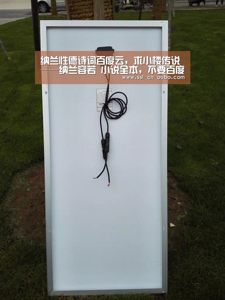 纳兰性德诗词百度云，求小楼传说——纳兰容若 小说全本，不要百