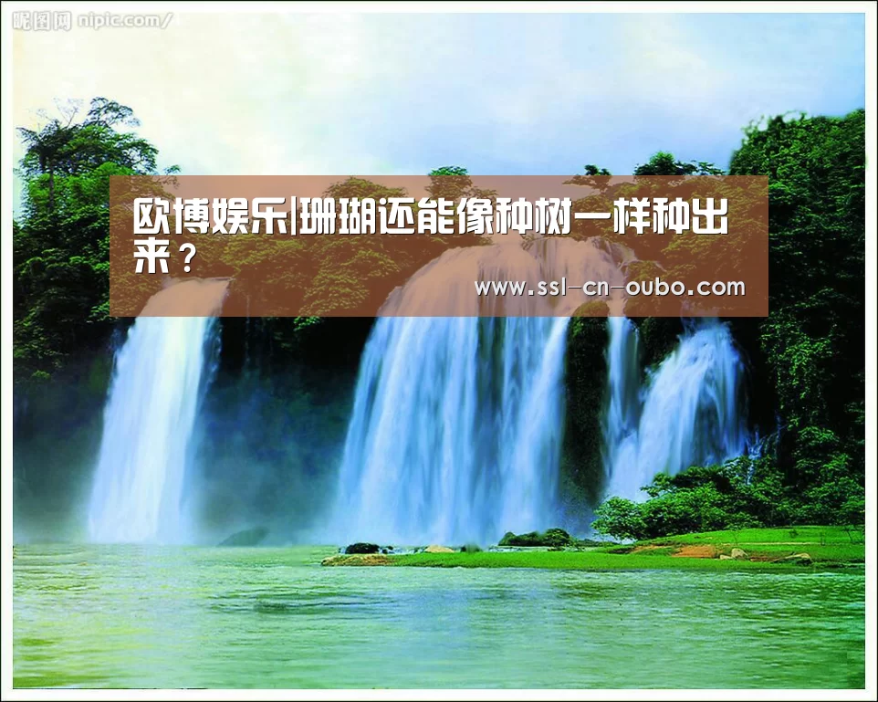 欧博娱乐