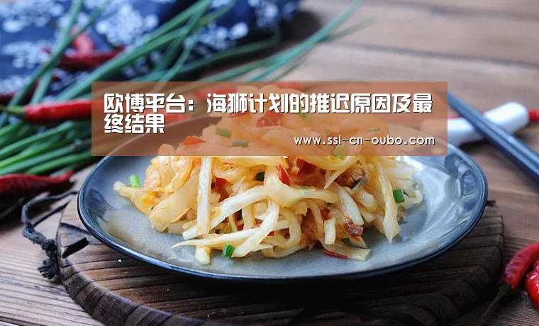 欧博平台:海狮计划的推迟原因及最终结果(图2) 欧博娱乐