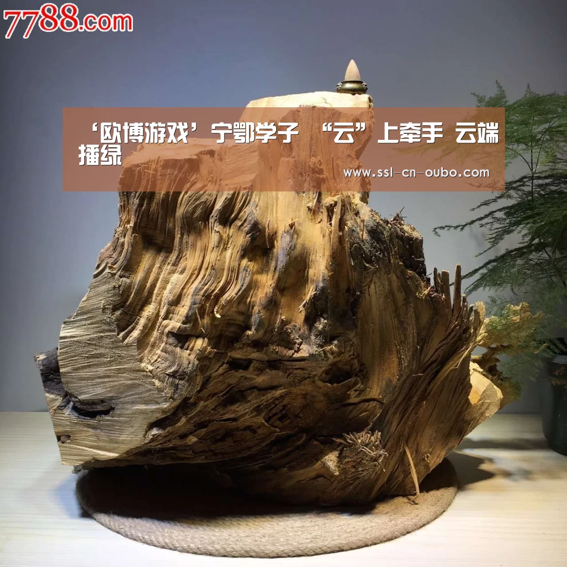 欧博游戏