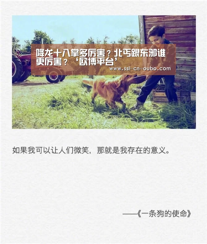 降龙十八掌多厉害?北丐跟东邪谁更厉害?‘欧博平台’(图4) 欧博游戏