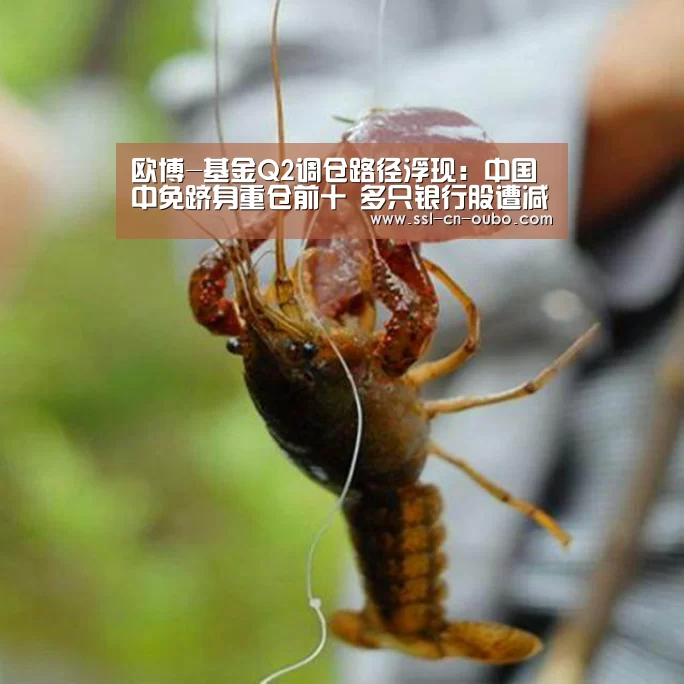 欧博-基金Q2调仓路径浮现:中国中免跻身重仓前十 多只银行股遭减持(图2) 欧博娱乐