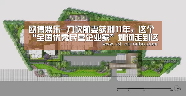 欧博娱乐-刀砍前妻获刑11年,这个“全国优秀民营企业家”如何走到这一步(图1) 欧博游戏