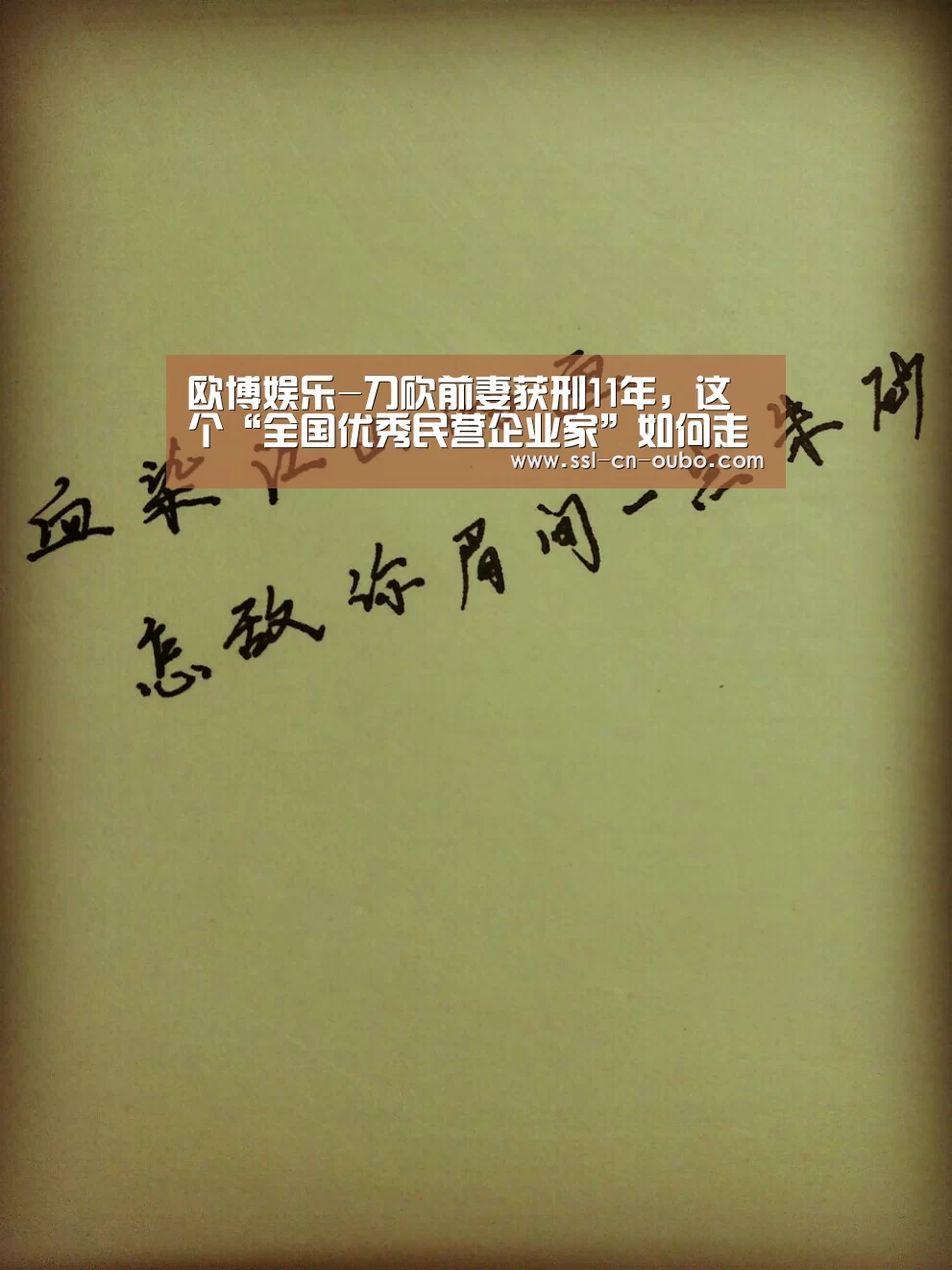 欧博娱乐-刀砍前妻获刑11年,这个“全国优秀民营企业家”如何走到这一步(图3) 欧博