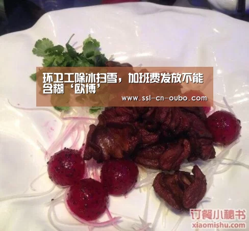 环卫工除冰扫雪,加班费发放不能含糊‘欧博’(图1) 欧博娱乐