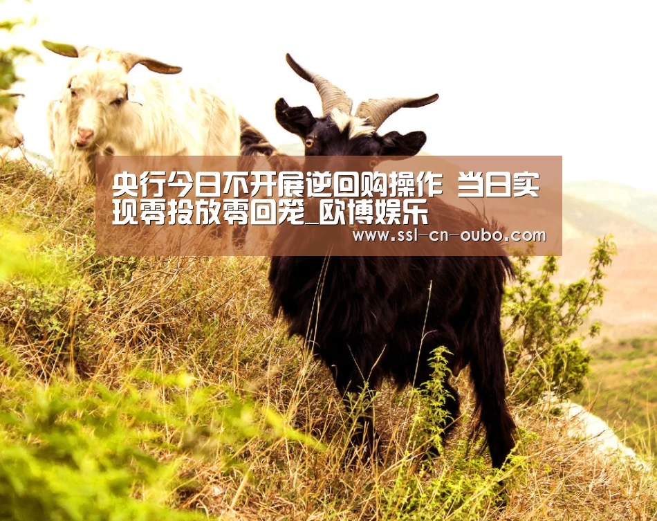 央行今日不开展逆回购操作 当日实现零投放零回笼_欧博娱乐