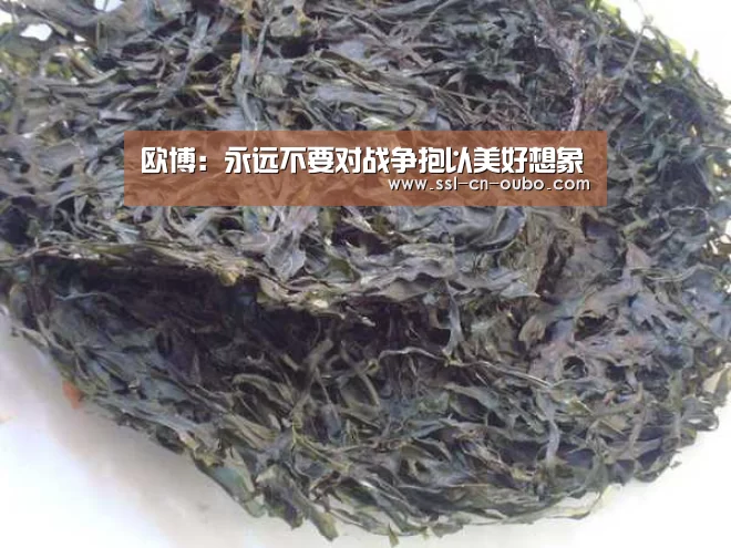 欧博:永远不要对战争抱以美好想象(图3) 欧博平台